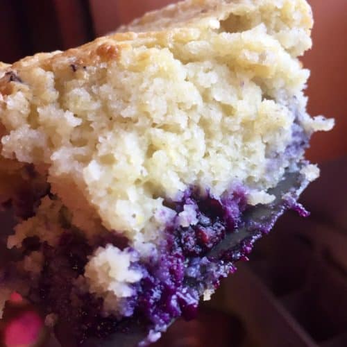 Almond Flour Blueberry Lemon Cake - FlyPeachPie